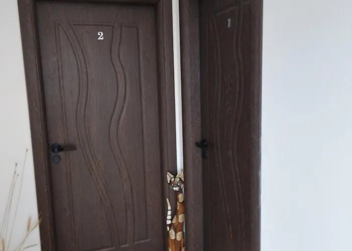 July's Maison d'hôtes