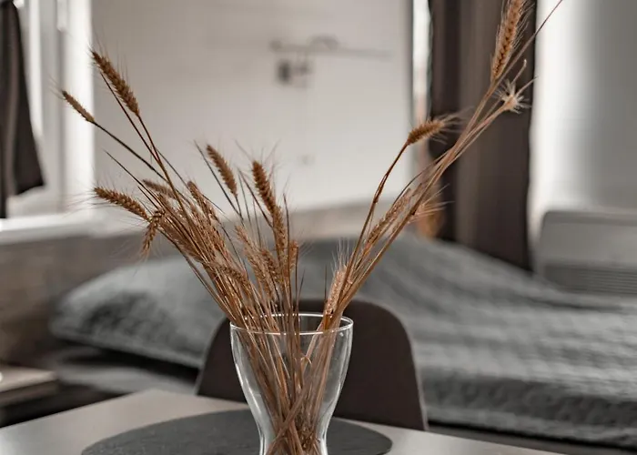 July's Maison d'hôtes Primorsko